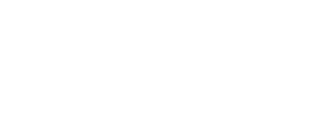 Feroz Logo