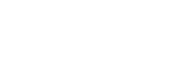 Feroz Logo